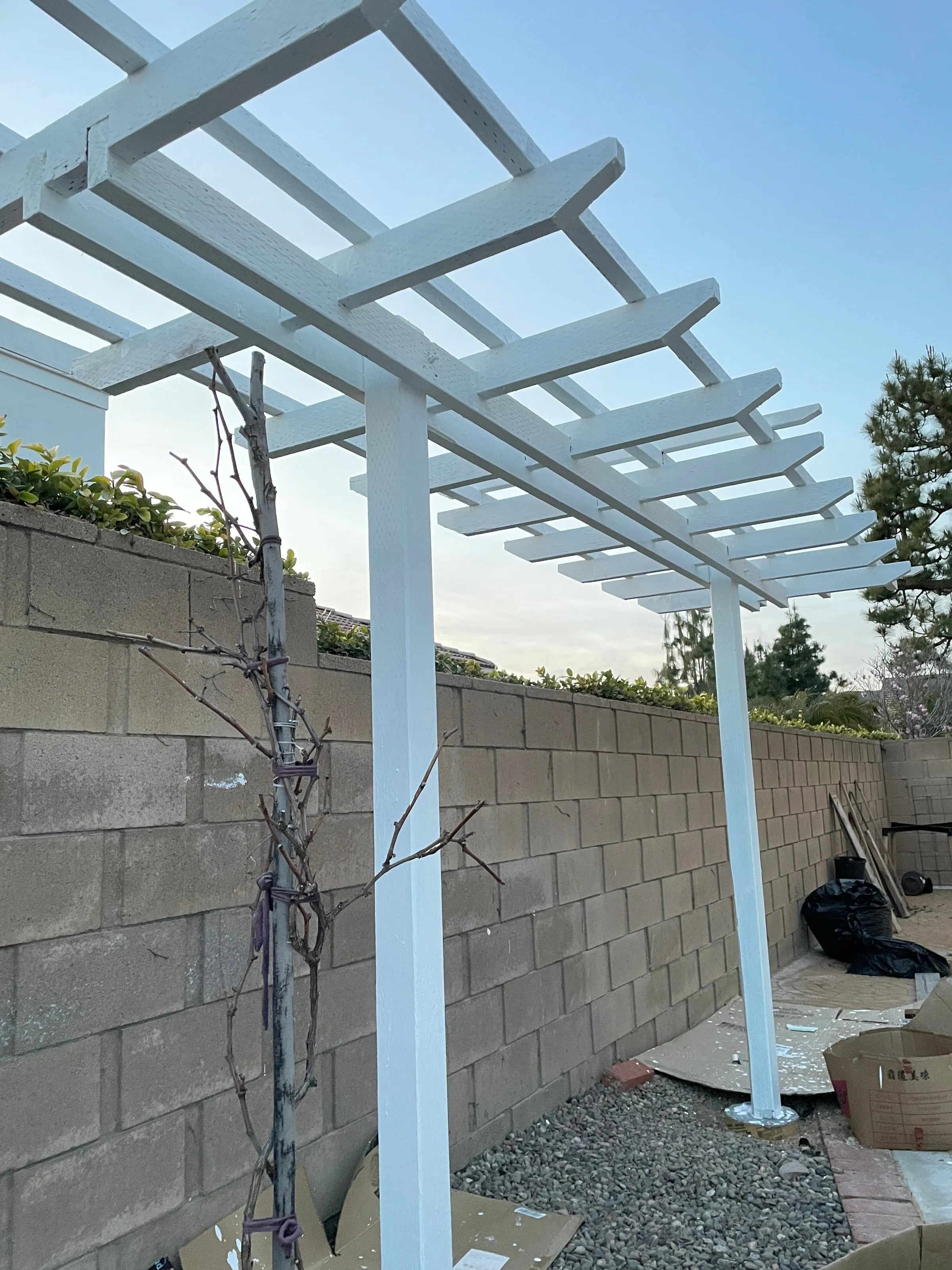 完工 — 另一花架视角